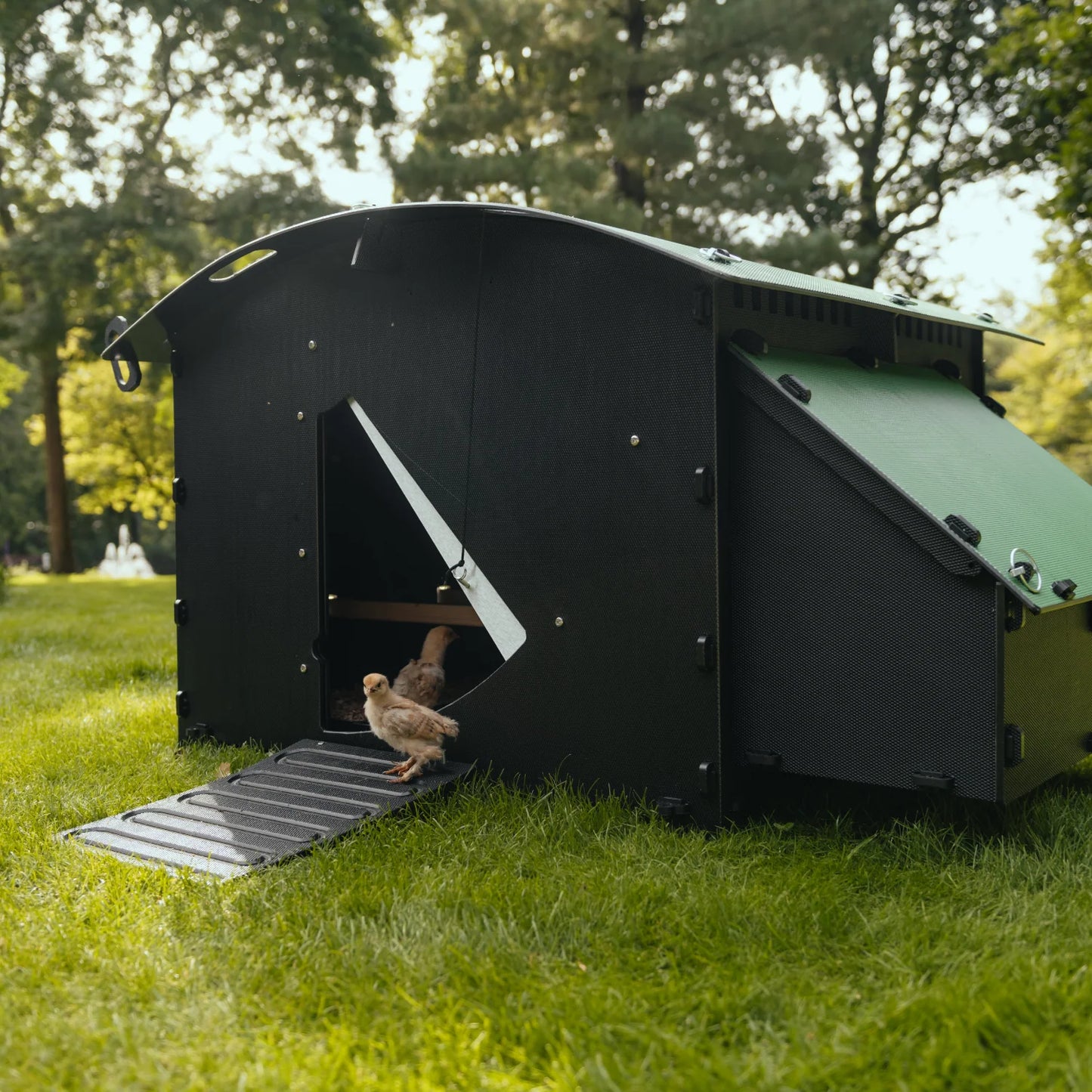 Nestera Chicken House - Large | Preorder Now | Est. Delivery from 22nd June