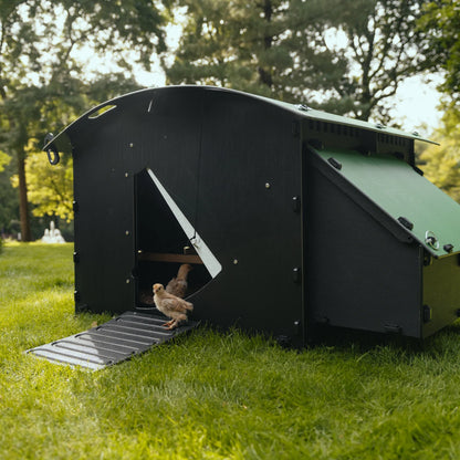 Nestera Chicken House - Large | Preorder Now | Est. Delivery from 22nd June
