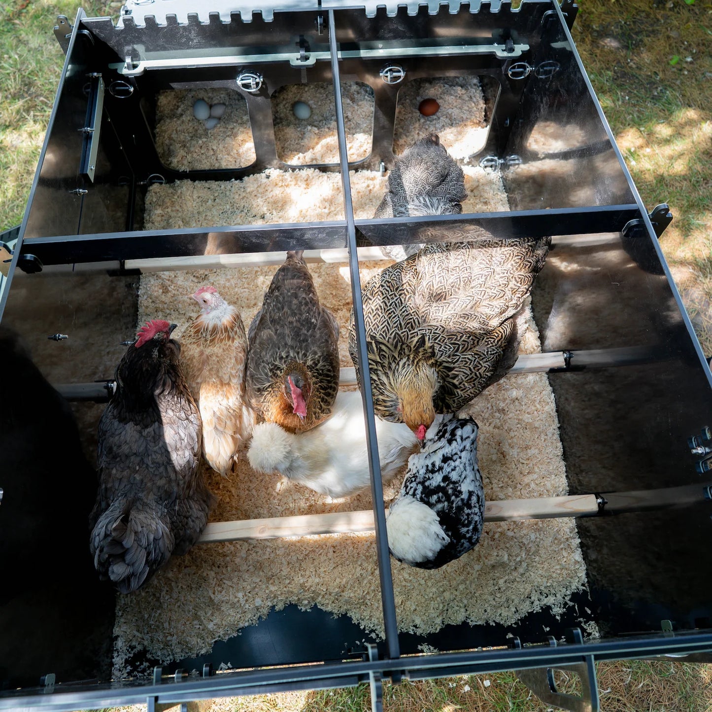 Nestera The Aspen 10 Chicken Coop