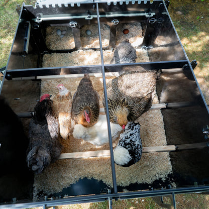 Nestera The Aspen 10 Chicken Coop