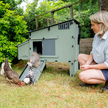 Nestera The Aspen 6 Chicken Coop