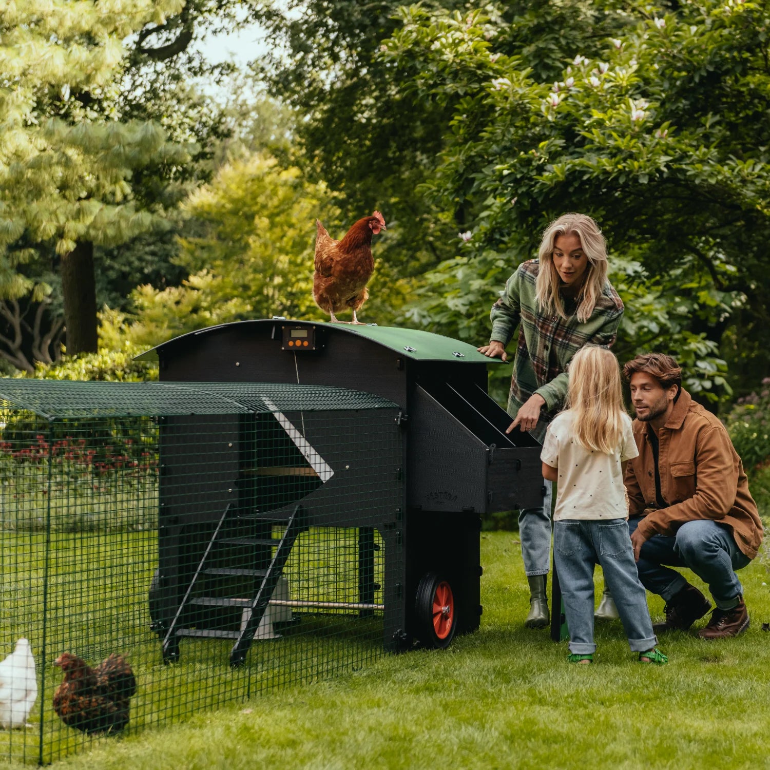 Nestera Chicken Coop Penthouse House Raised - Large