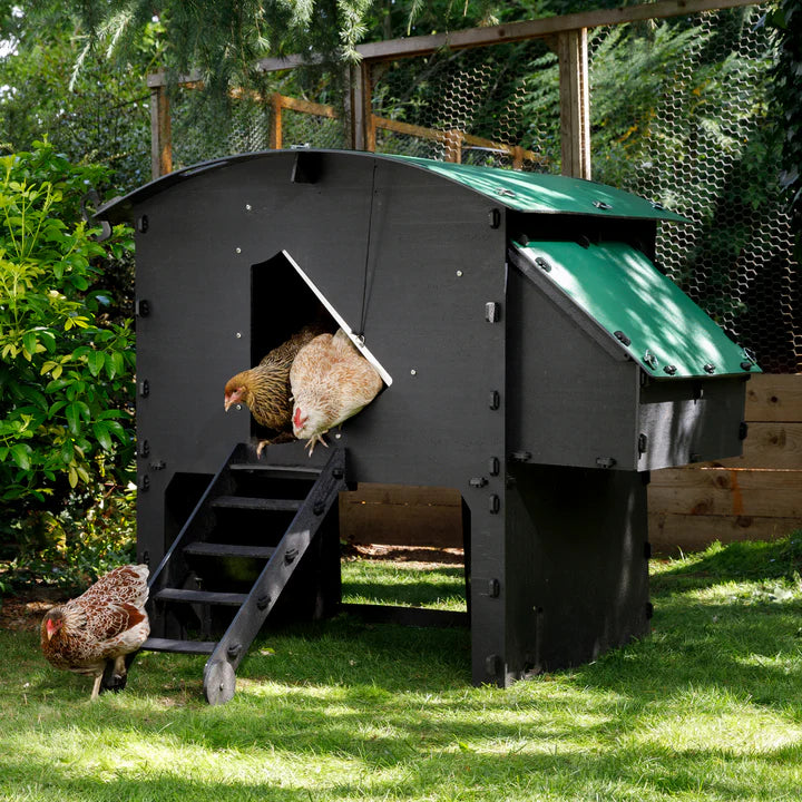 Nestera Chicken Coop Penthouse House Raised - Large