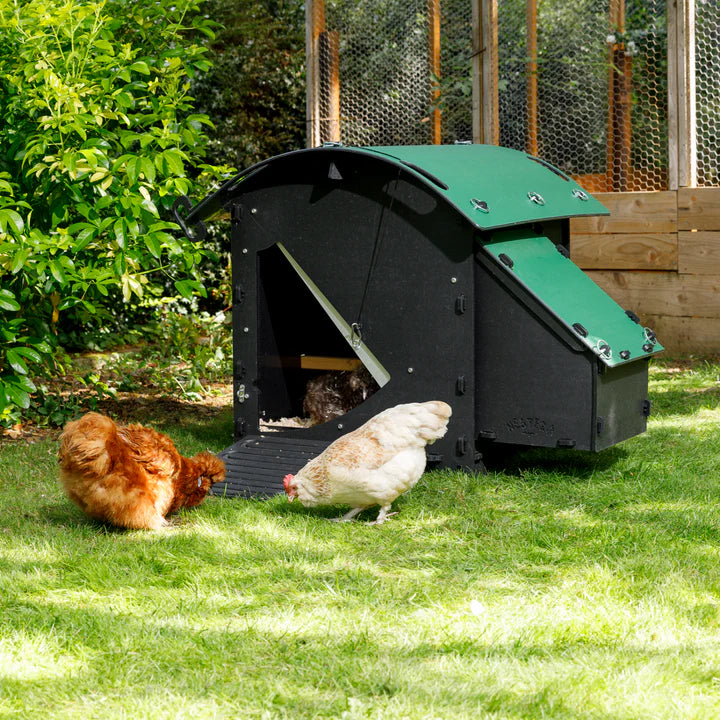 Nestera Chicken House - Small 010111