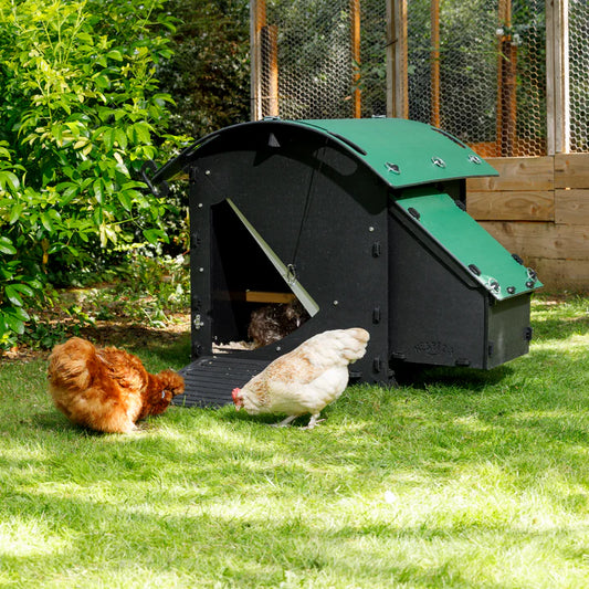 Nestera Chicken House - Small 010111