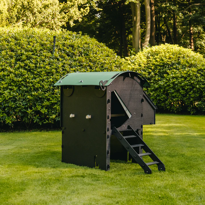 Nestera Chicken House Raised - Medium