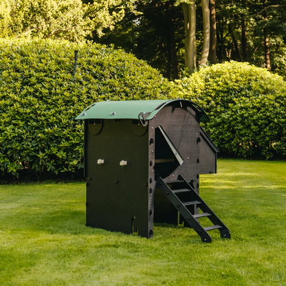 Nestera Chicken House Raised - Medium