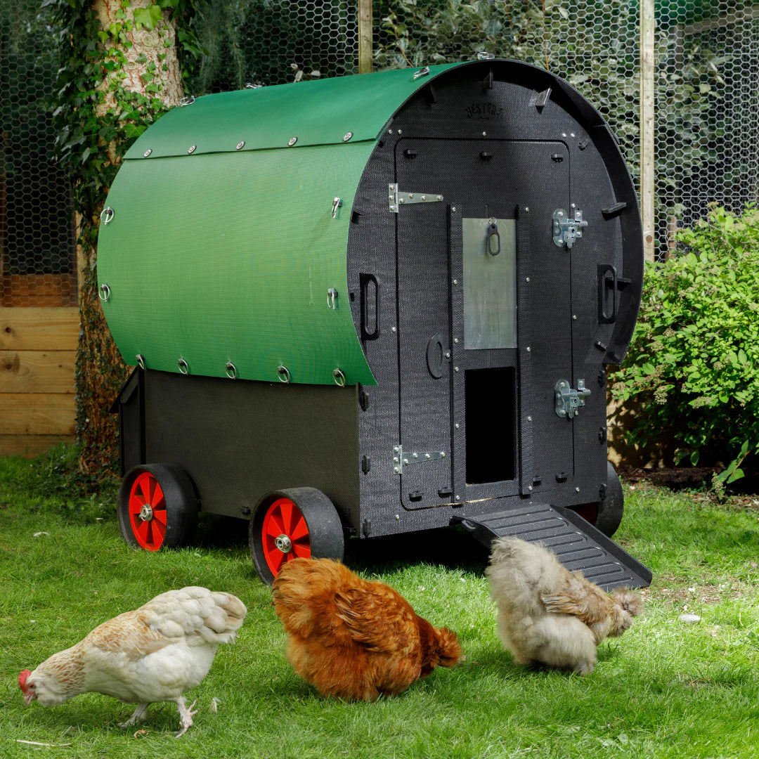 Nestera Chicken Wagon Coop