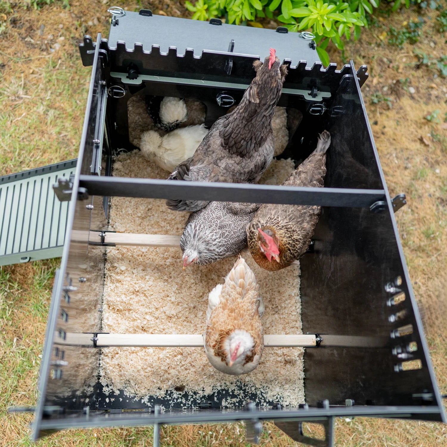 Nestera The Aspen 6 Chicken Coop