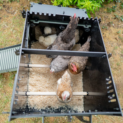 Nestera The Aspen 6 Chicken Coop