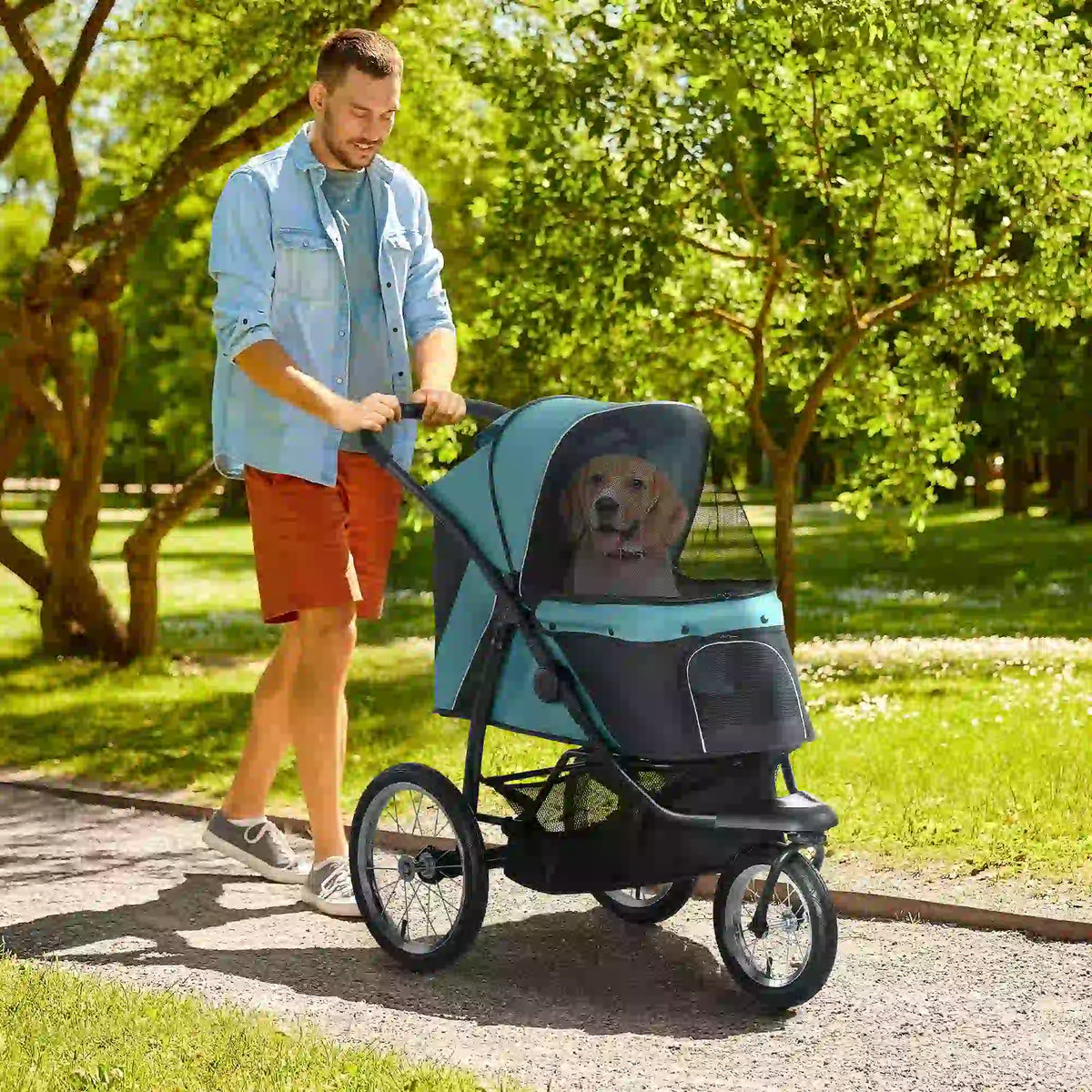 PawHut Foldable Pet Stroller with 3 Wheels - Green