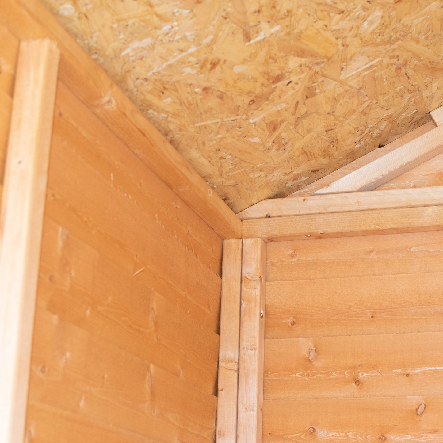 Shire 3x5 Overlap Single Door Shed OVED0305DOL-1AA