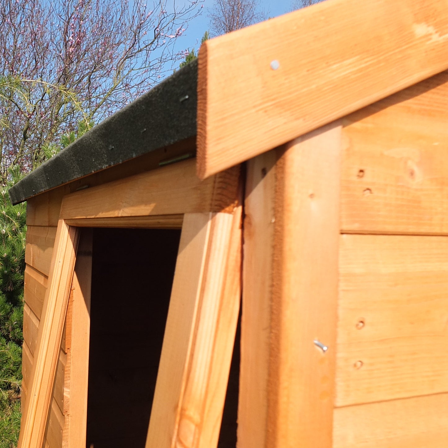 Shire 4x6 Bute Shiplap Apex Double Door Shed BUTE0406DSL-1AA