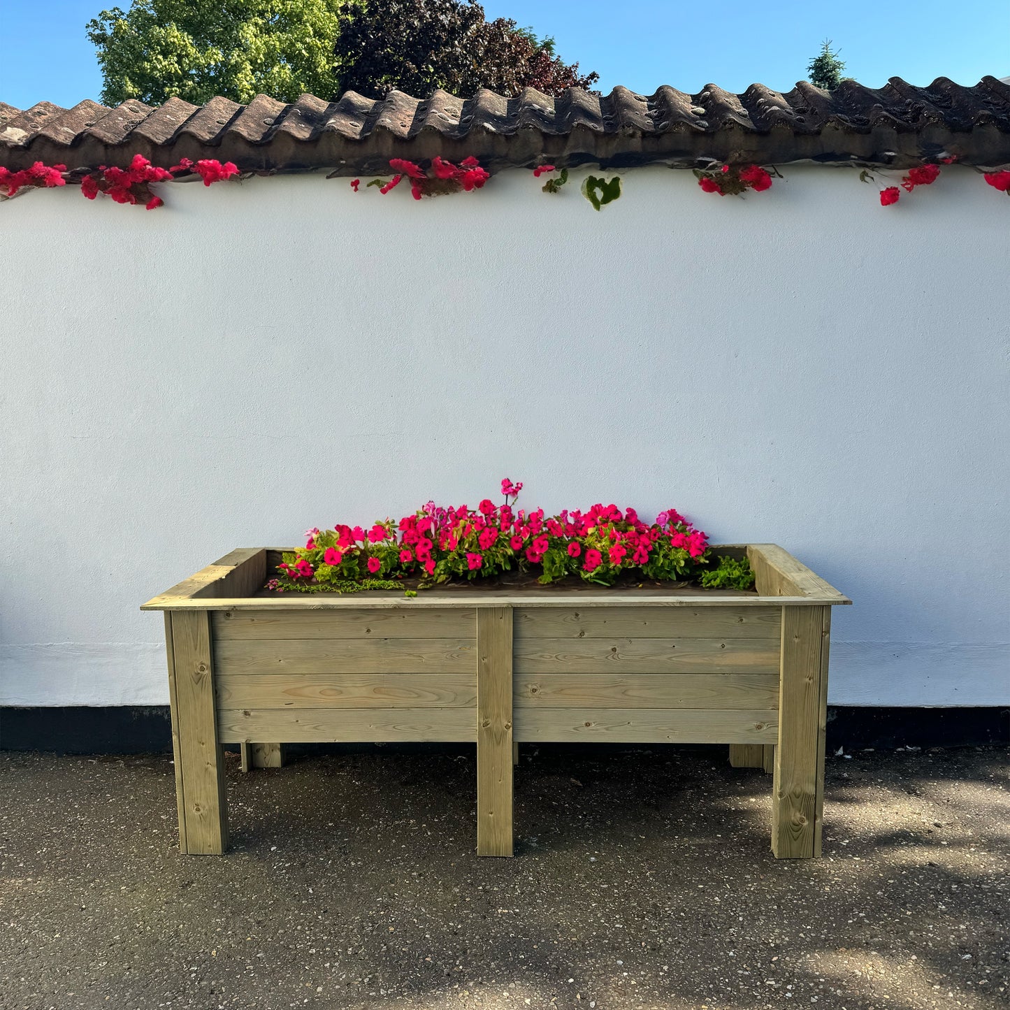 Shire 6x2 Bloom Deep Planter BLOM0602DEP-1AA