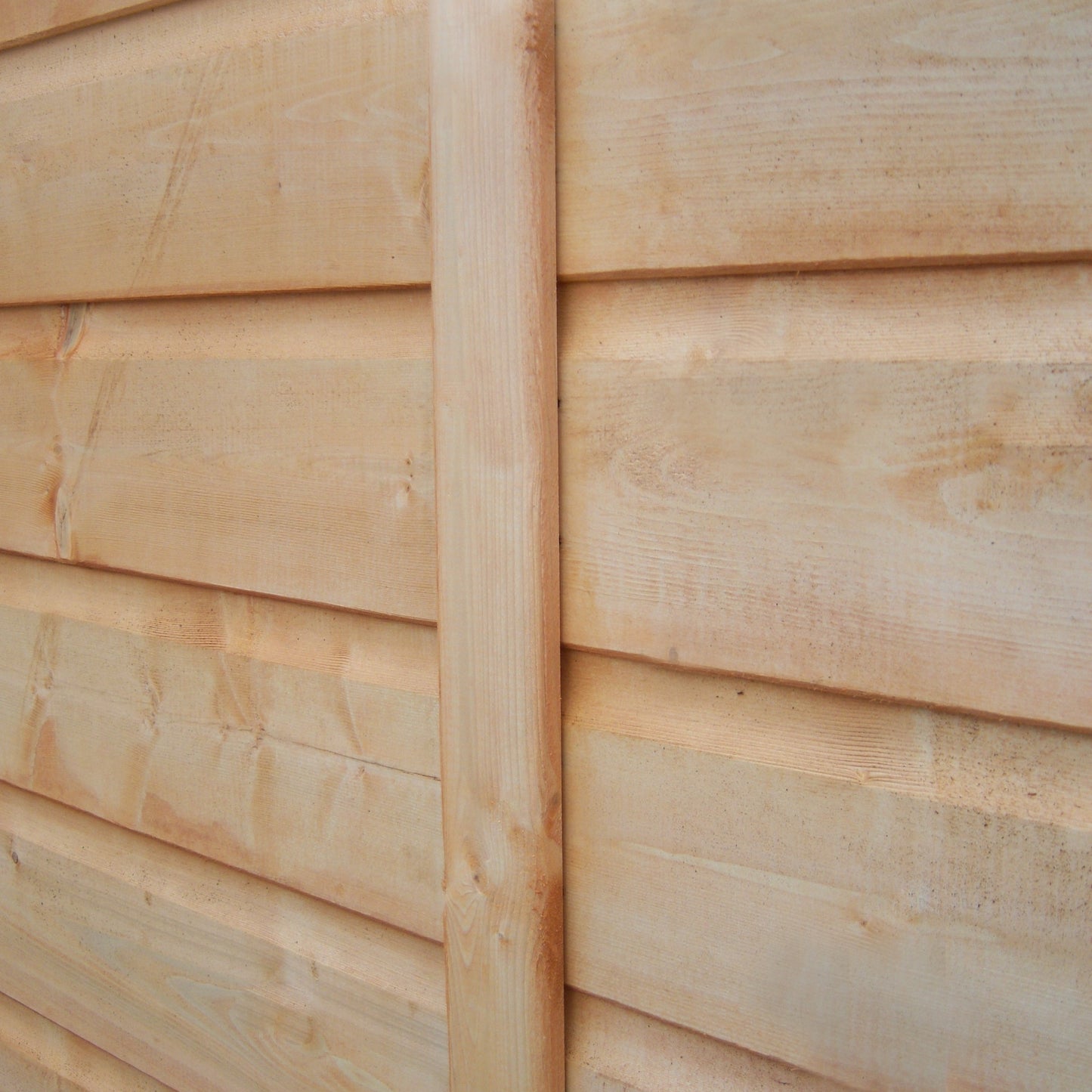 Shire 6x6 Arran Double Door Shed ARRA0606DSL-1AA