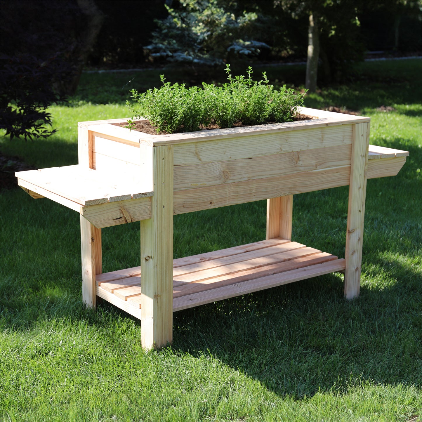 Shire Rona Larch Planter RONN08700LWP-1AA